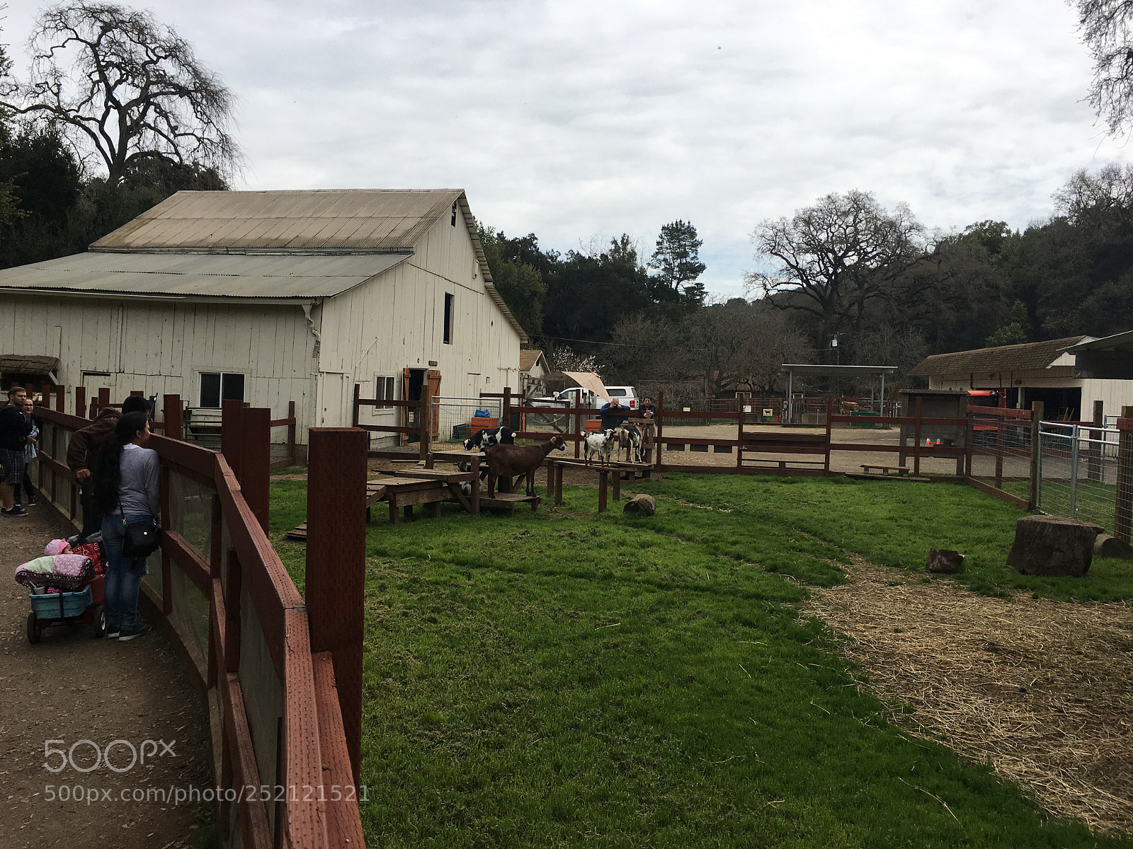 Apple iPhone 6s Plus sample photo. Deer hollow farm photography