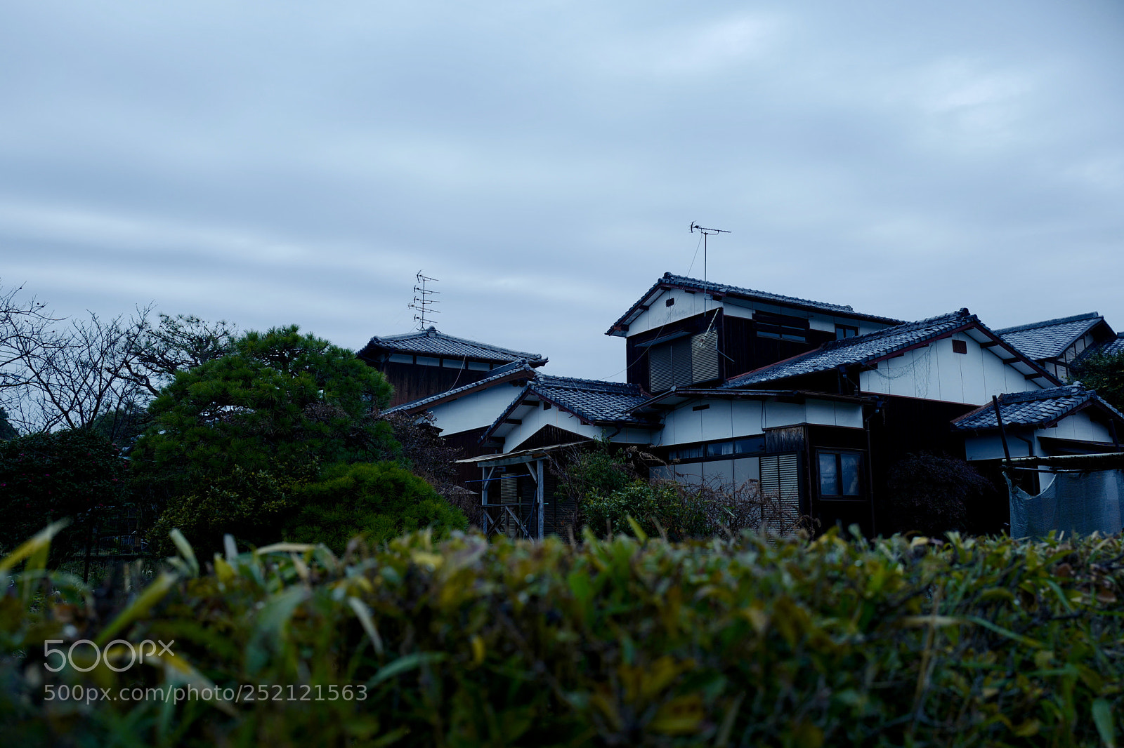 Leica Q (Typ 116) sample photo. Fullsizeoutput ff photography