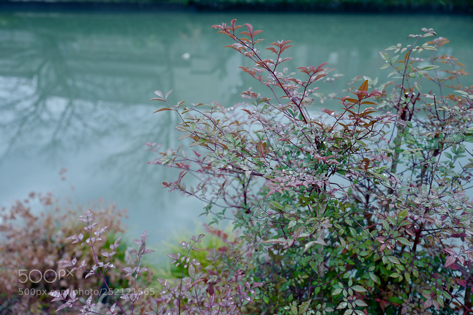 Leica Q (Typ 116) sample photo. Fullsizeoutput photography