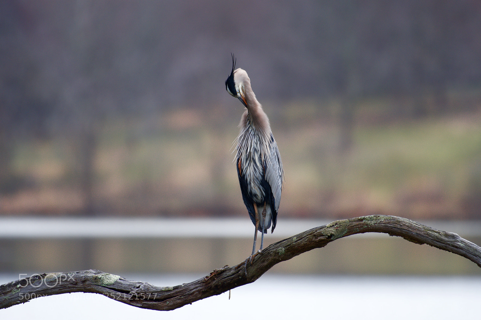 Nikon D500 sample photo. My time. photography