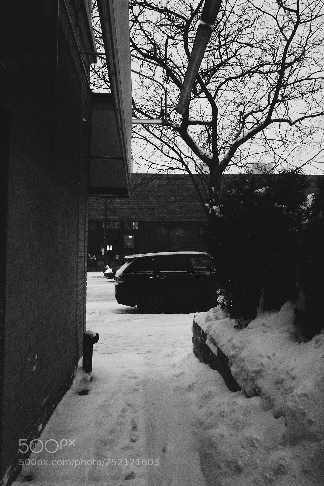 Canon EOS 1300D (EOS Rebel T6 / EOS Kiss X80) sample photo. Range rover  photography