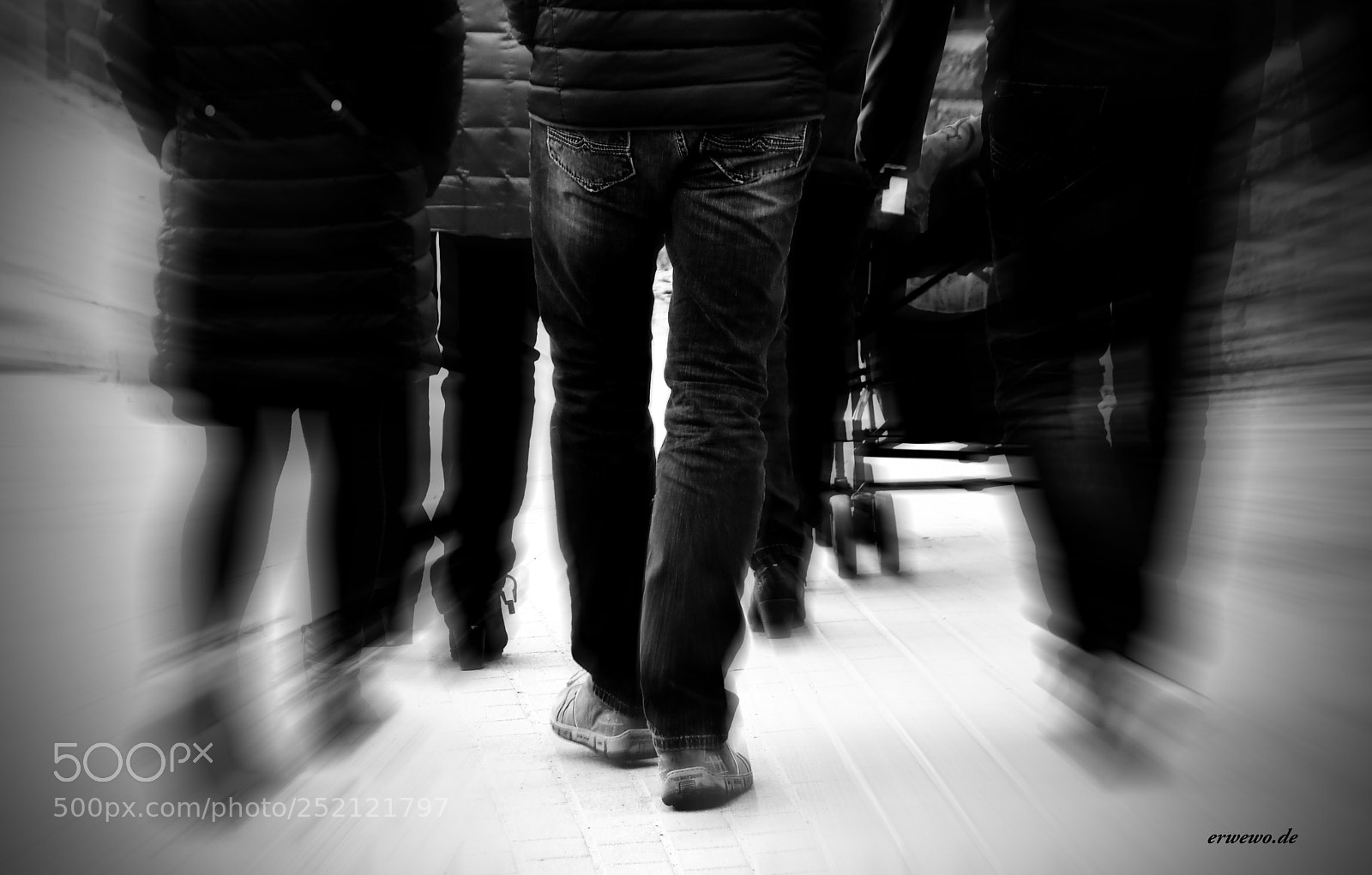 Nikon D500 sample photo. ....walking... photography
