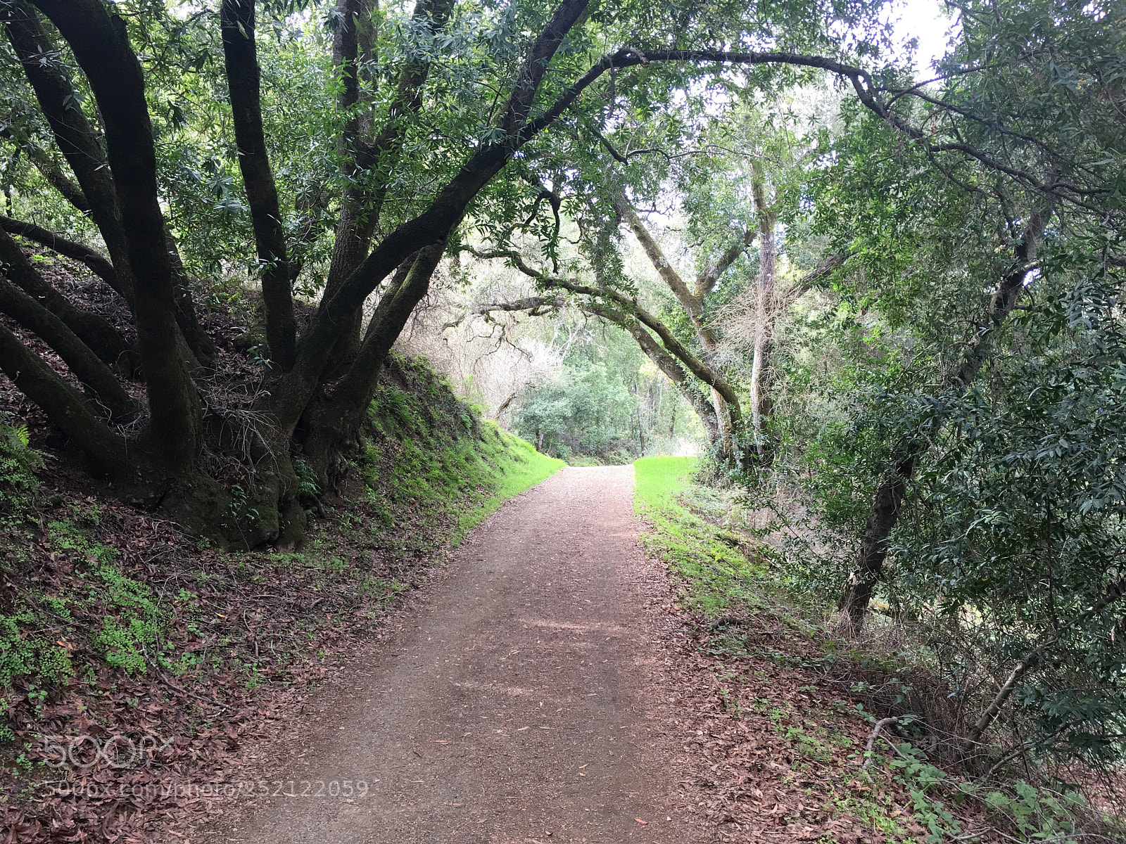 Apple iPhone 6s Plus sample photo. Upper rogue valley trail photography