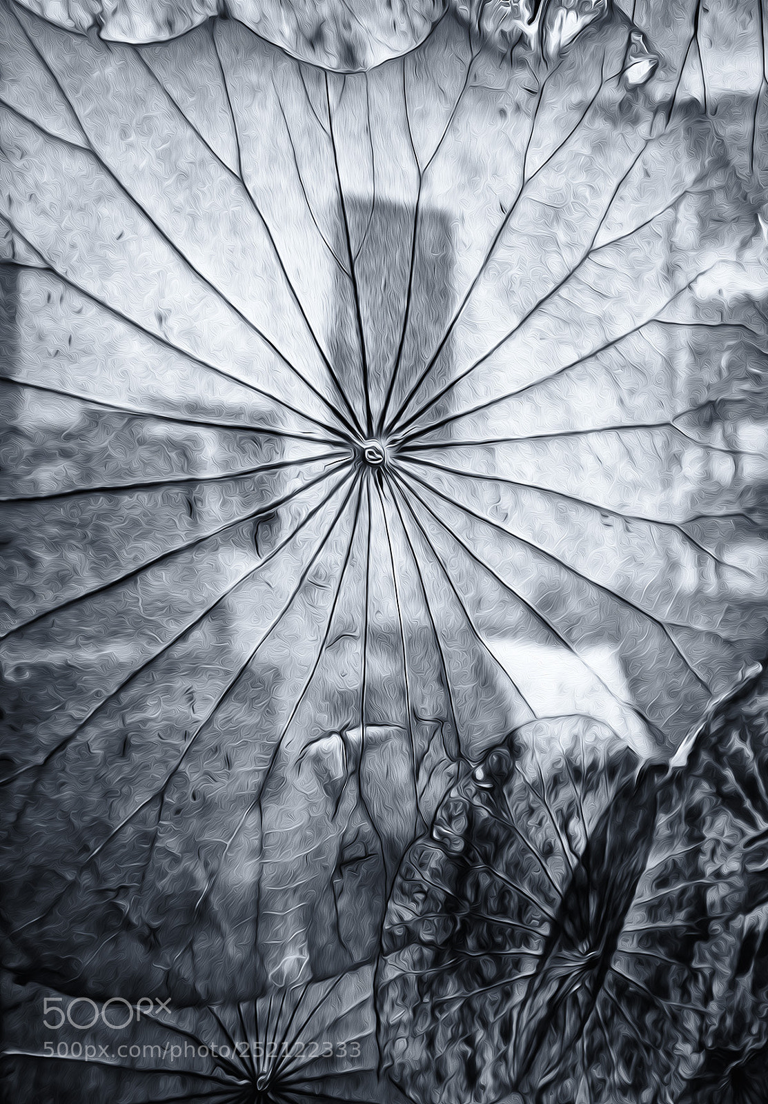 Fujifilm X100S sample photo. Creation photography