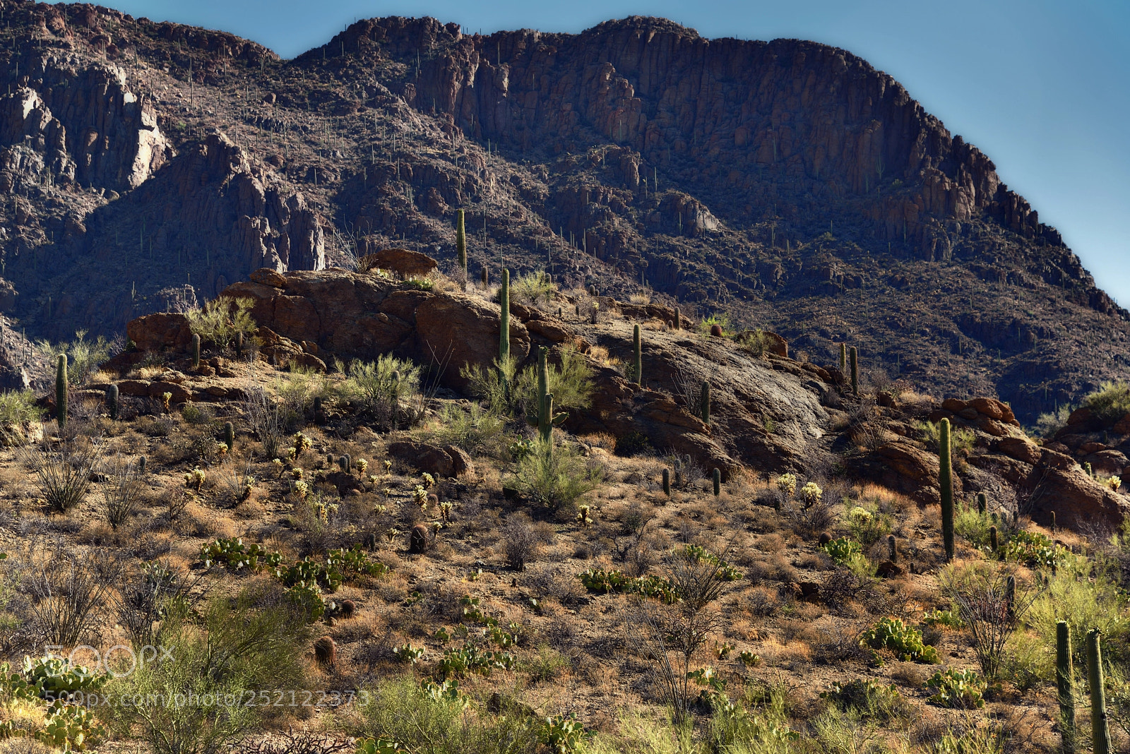 Nikon D800E sample photo. The rugged and jagged photography