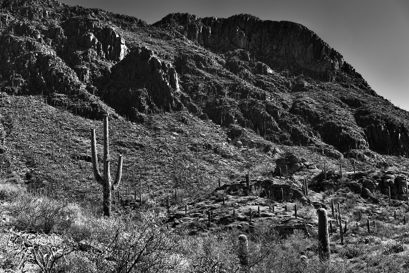 Nikon D800E sample photo. The rugged and jagged photography