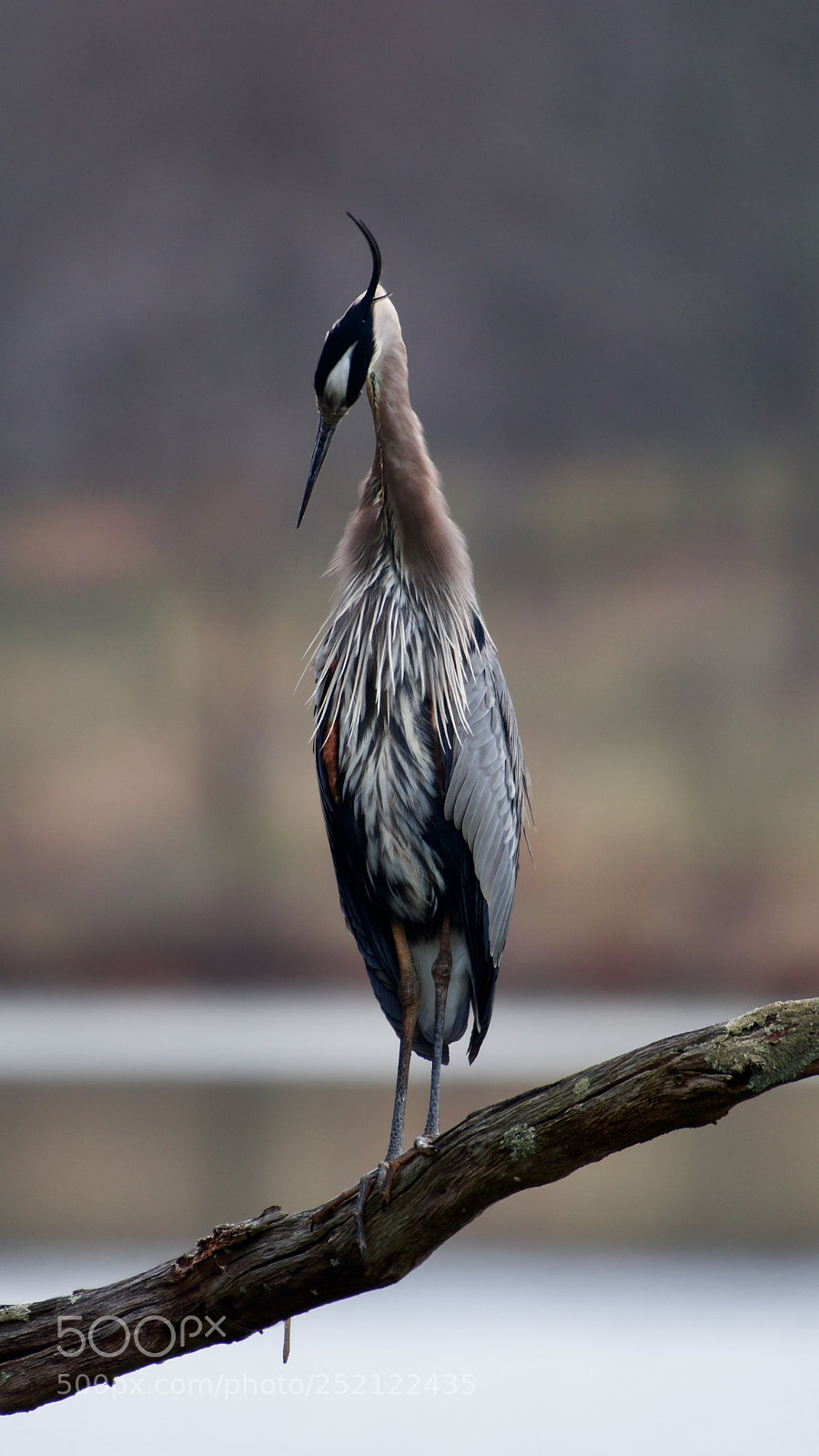 Nikon D500 sample photo. Weird o. photography