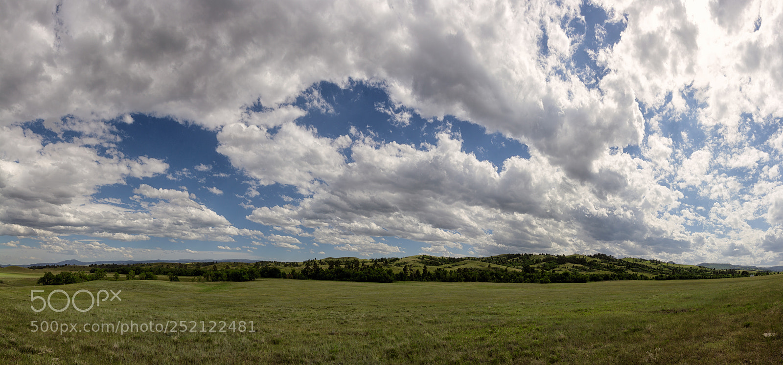 Canon EOS 60D sample photo. Black hills photography