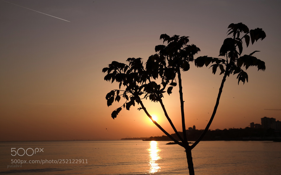 Samsung NX30 sample photo. ... photography