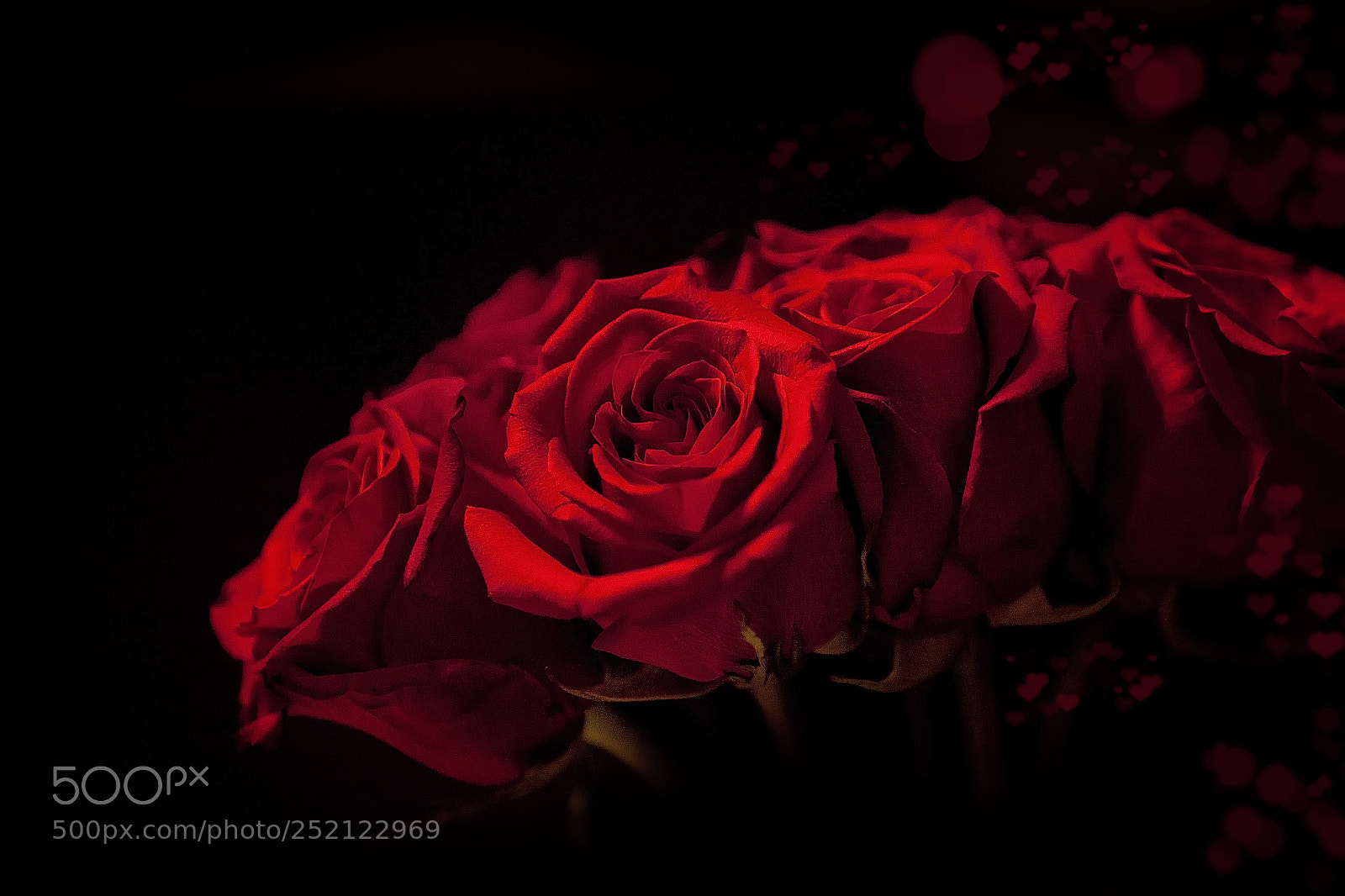 Canon EOS 5D Mark II sample photo. Red is the color photography