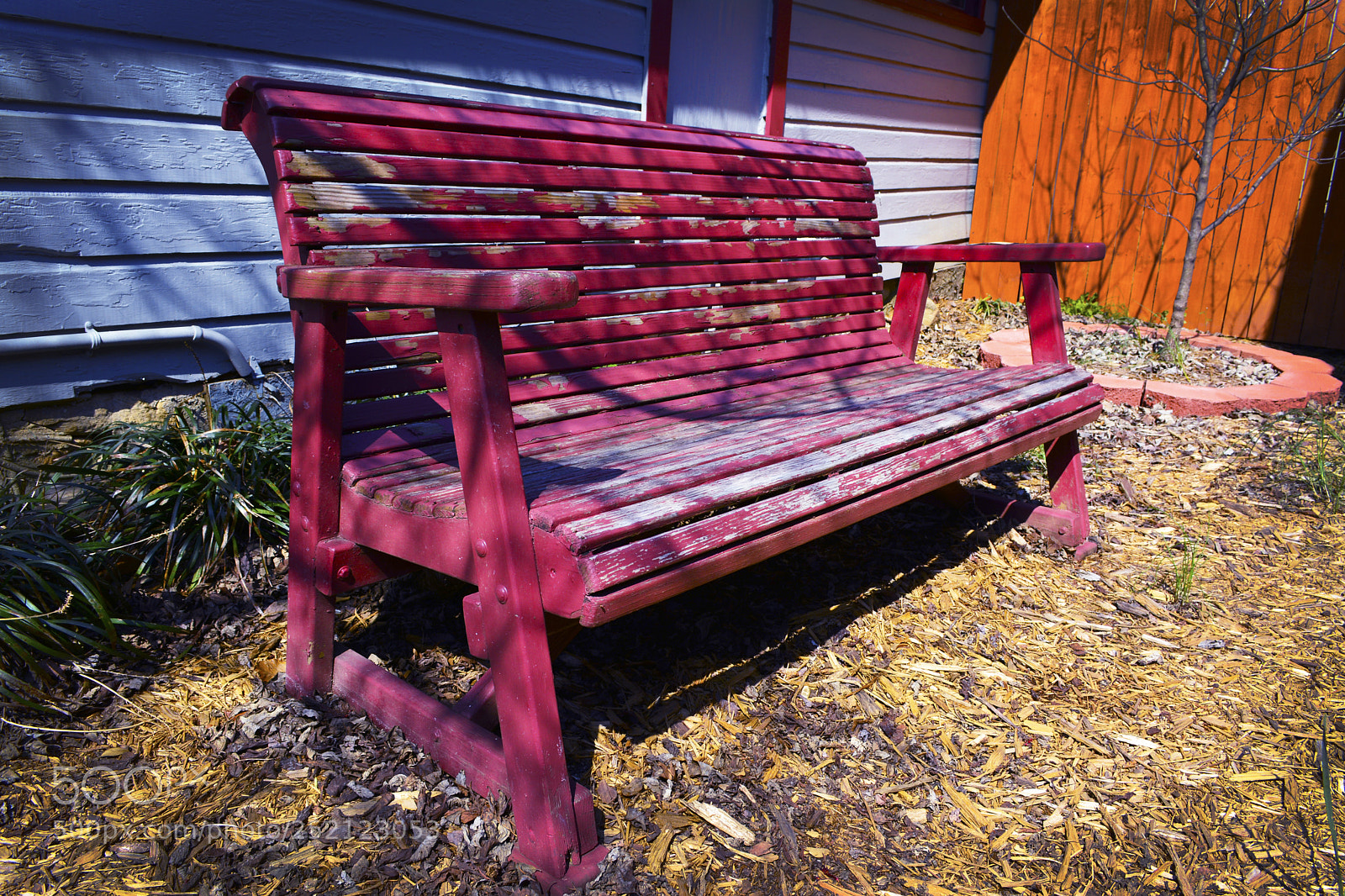 Nikon D5200 sample photo. The old red bench photography