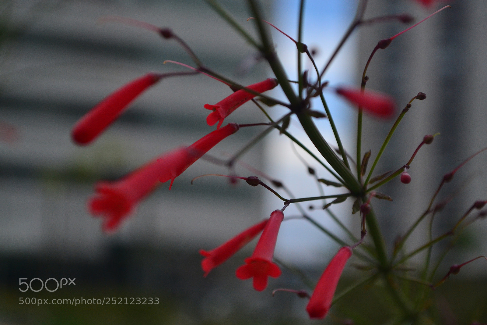 Nikon D3100 sample photo. Untitled photography