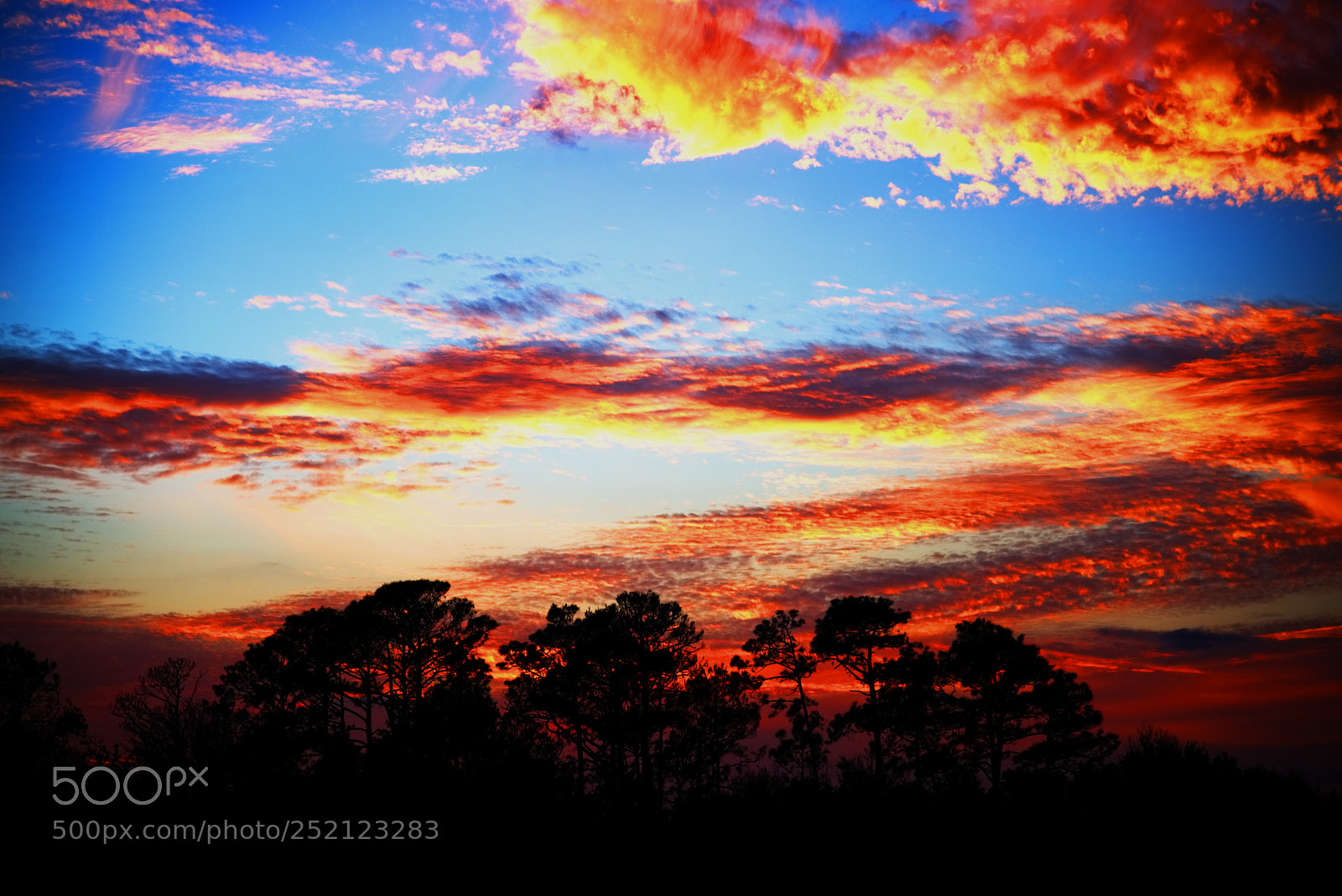 Nikon D810 sample photo. Sunset photography