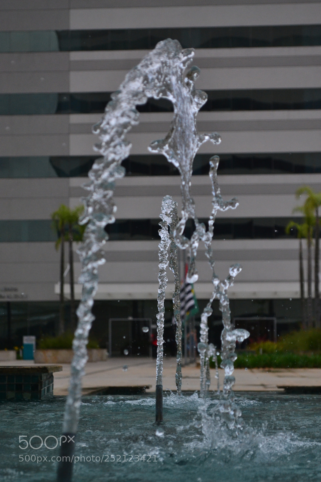Nikon D3100 sample photo. Untitled photography
