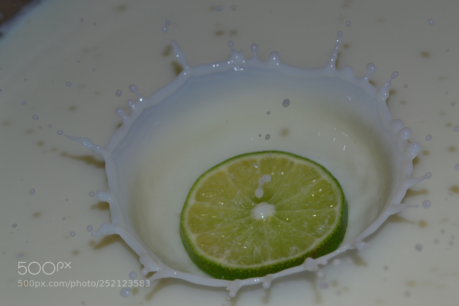 Nikon D3100 sample photo. Untitled photography