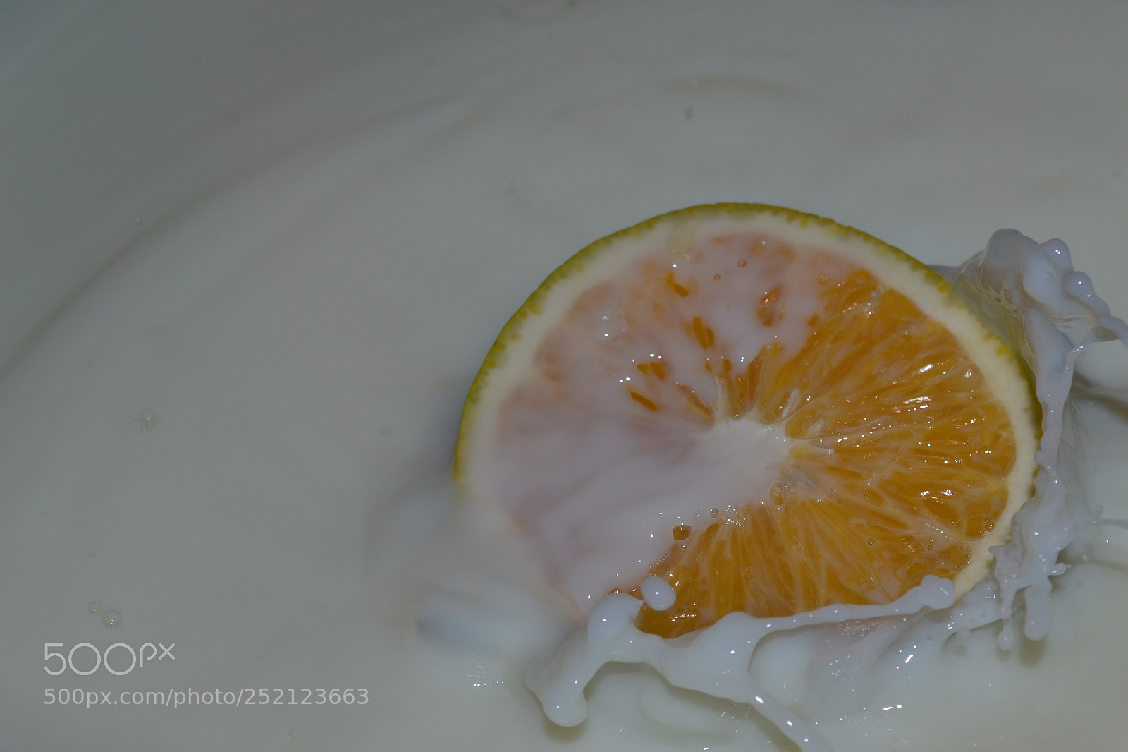 Nikon D3100 sample photo. Untitled photography
