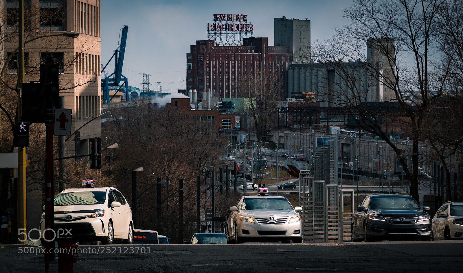 Nikon D7500 sample photo. Downtown bourassa photography