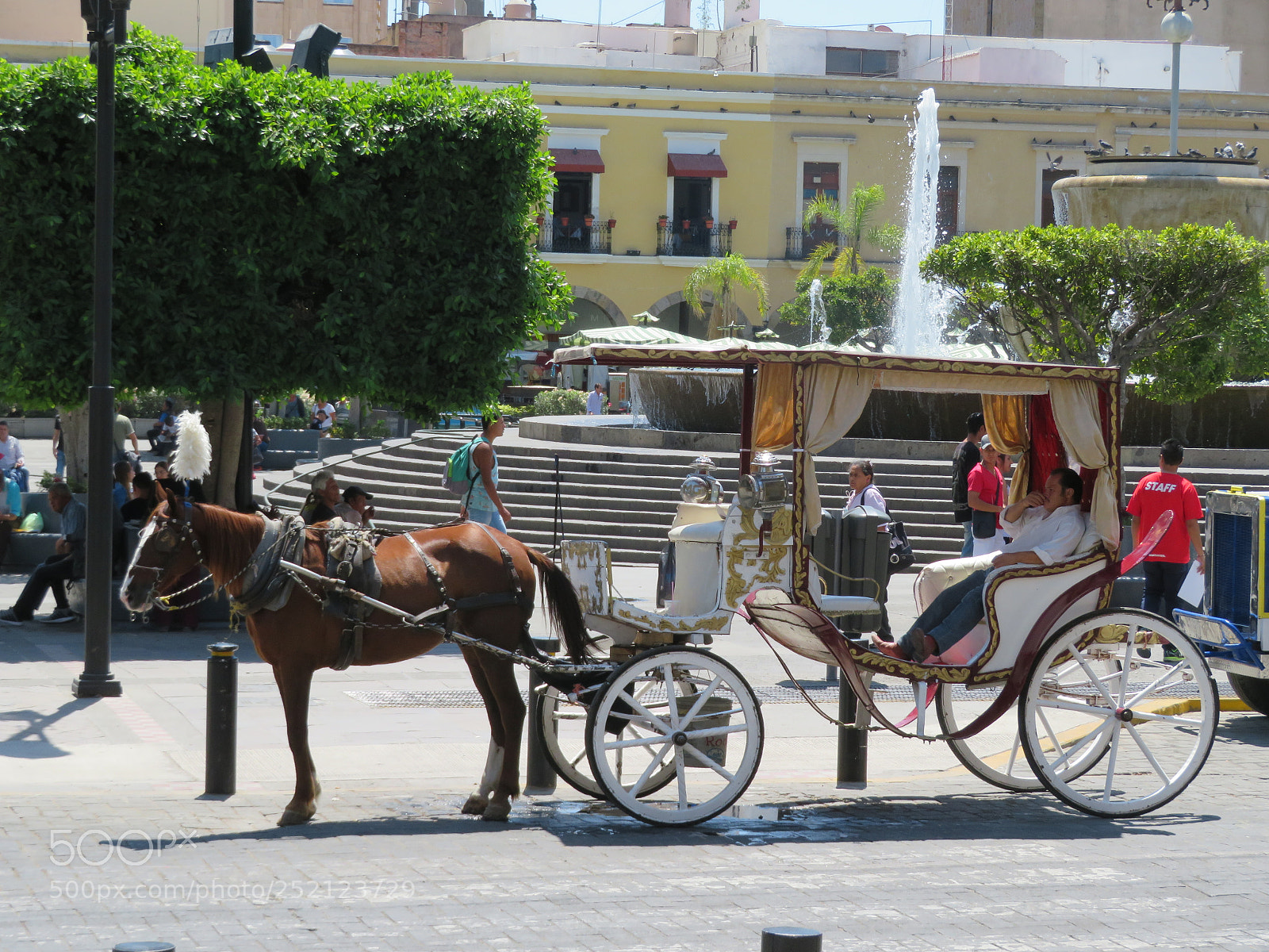 Canon PowerShot SX720 HS sample photo. A caballo photography