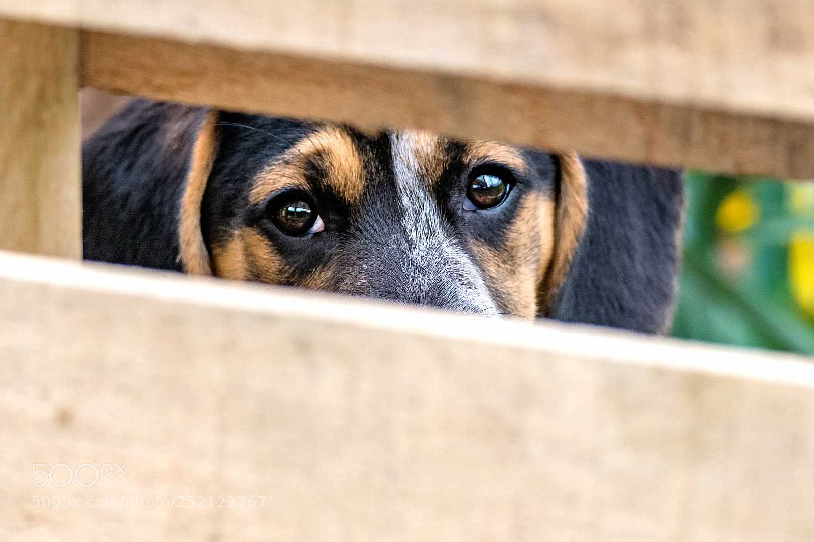 Nikon D850 sample photo. I can see you photography