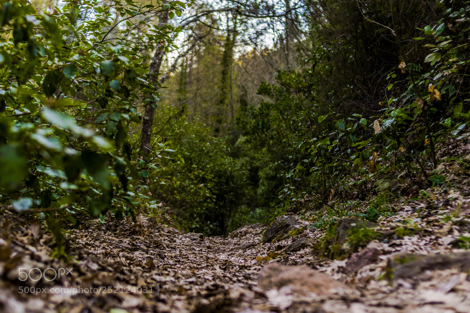 Nikon D3300 sample photo. Hacia el interior del photography