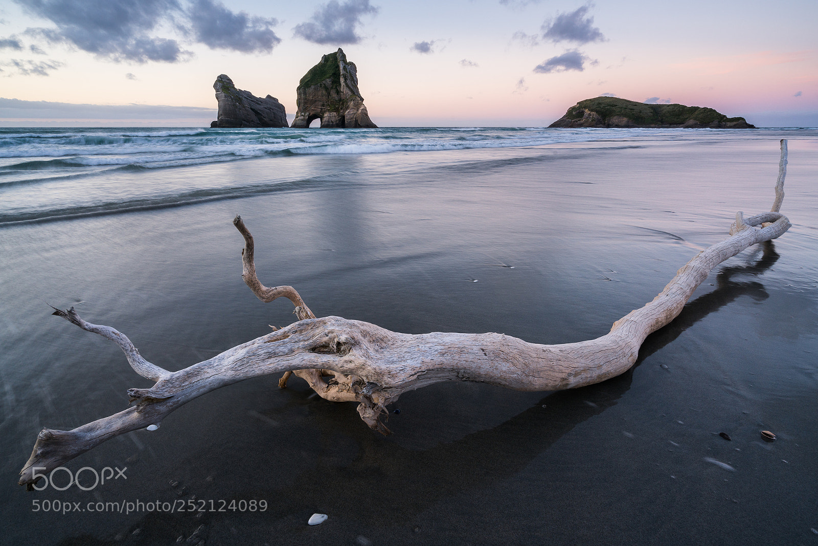 Sony a7R II sample photo. Jaana photography