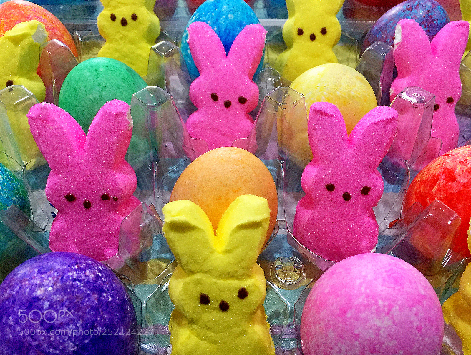 Apple iPhone 6 Plus sample photo. Eggs and bunnies study 2 photography