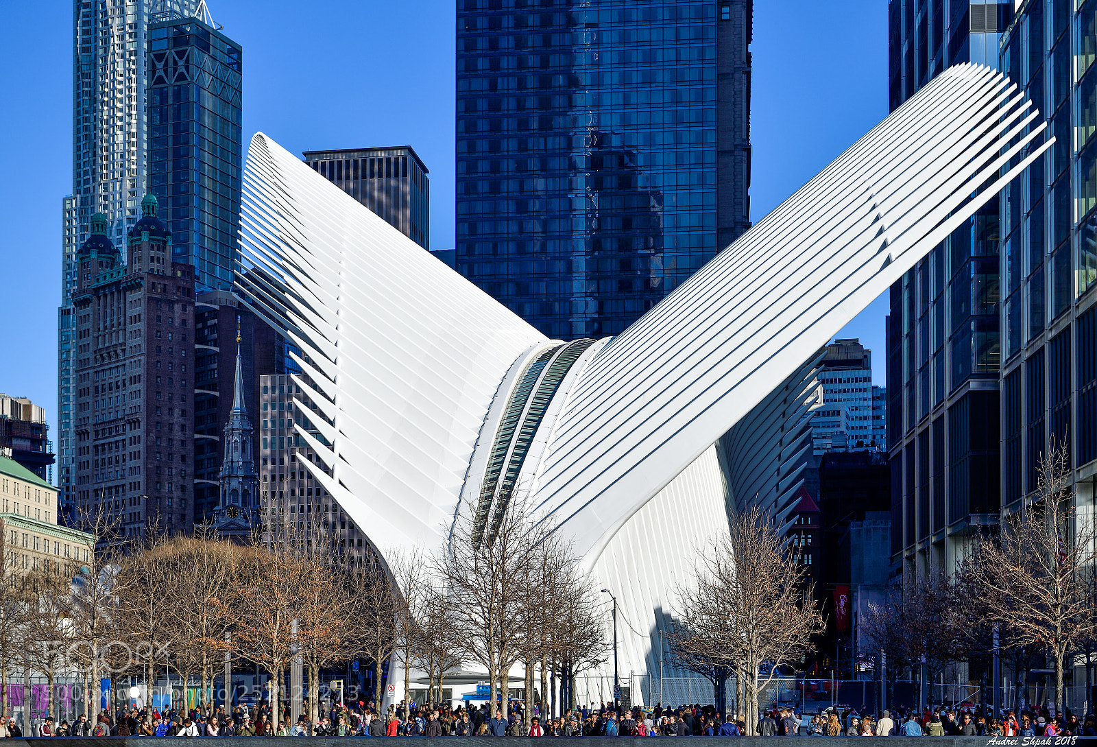 Nikon D850 sample photo. Oculus. nyc. just can't photography