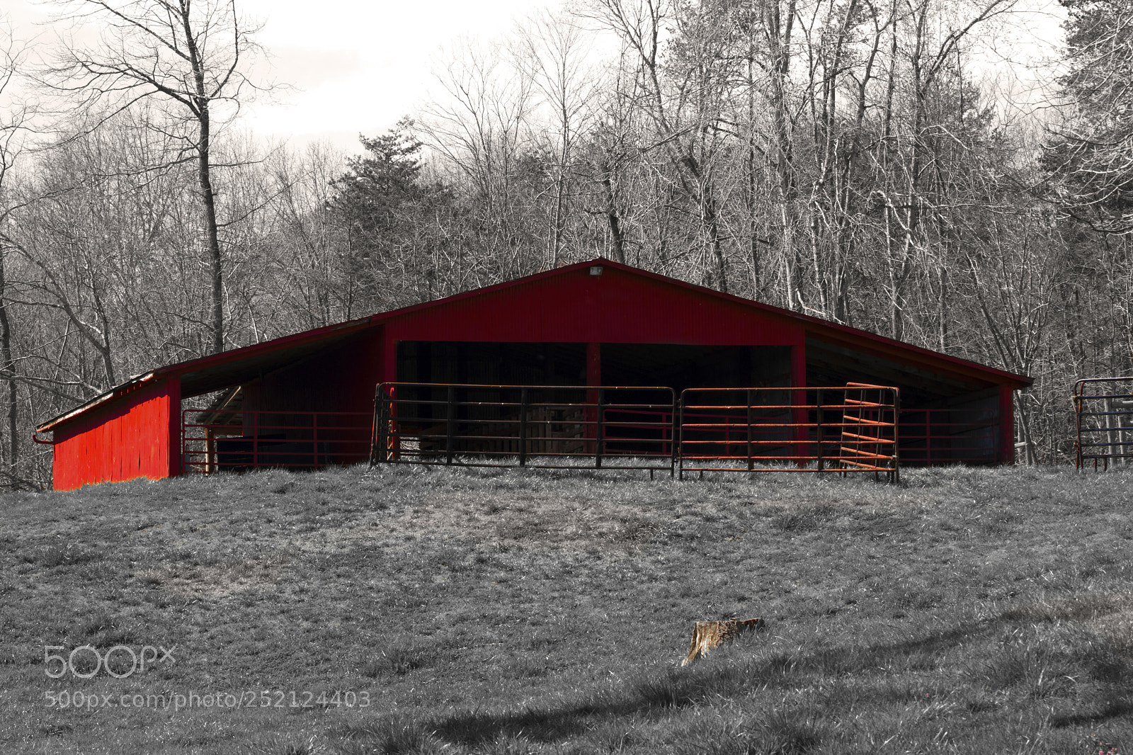 Canon EOS 800D (EOS Rebel T7i / EOS Kiss X9i) sample photo. Redbarn photography