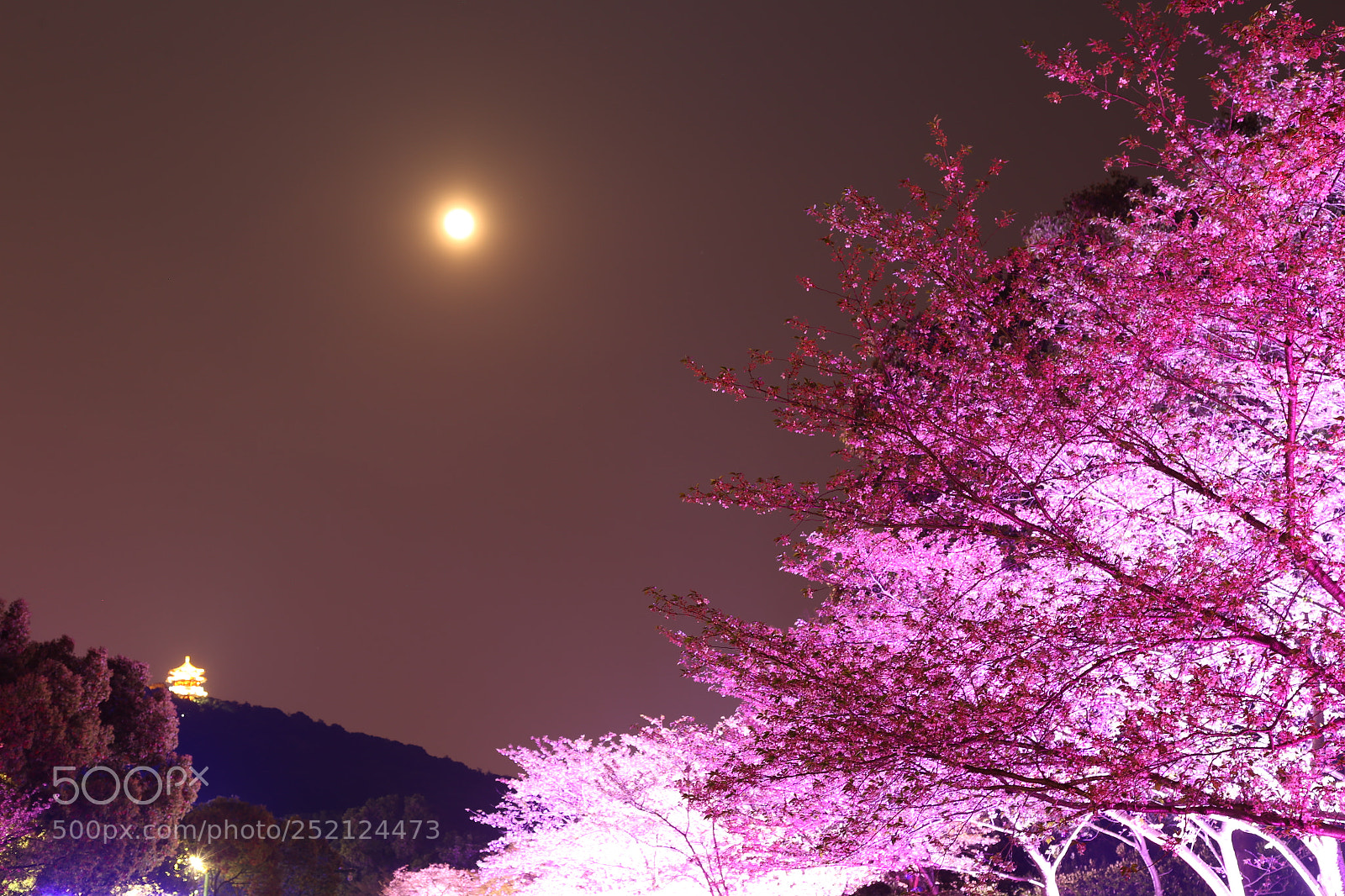 Canon EOS 6D + Canon EF 24-105mm F4L IS USM sample photo. Img photography