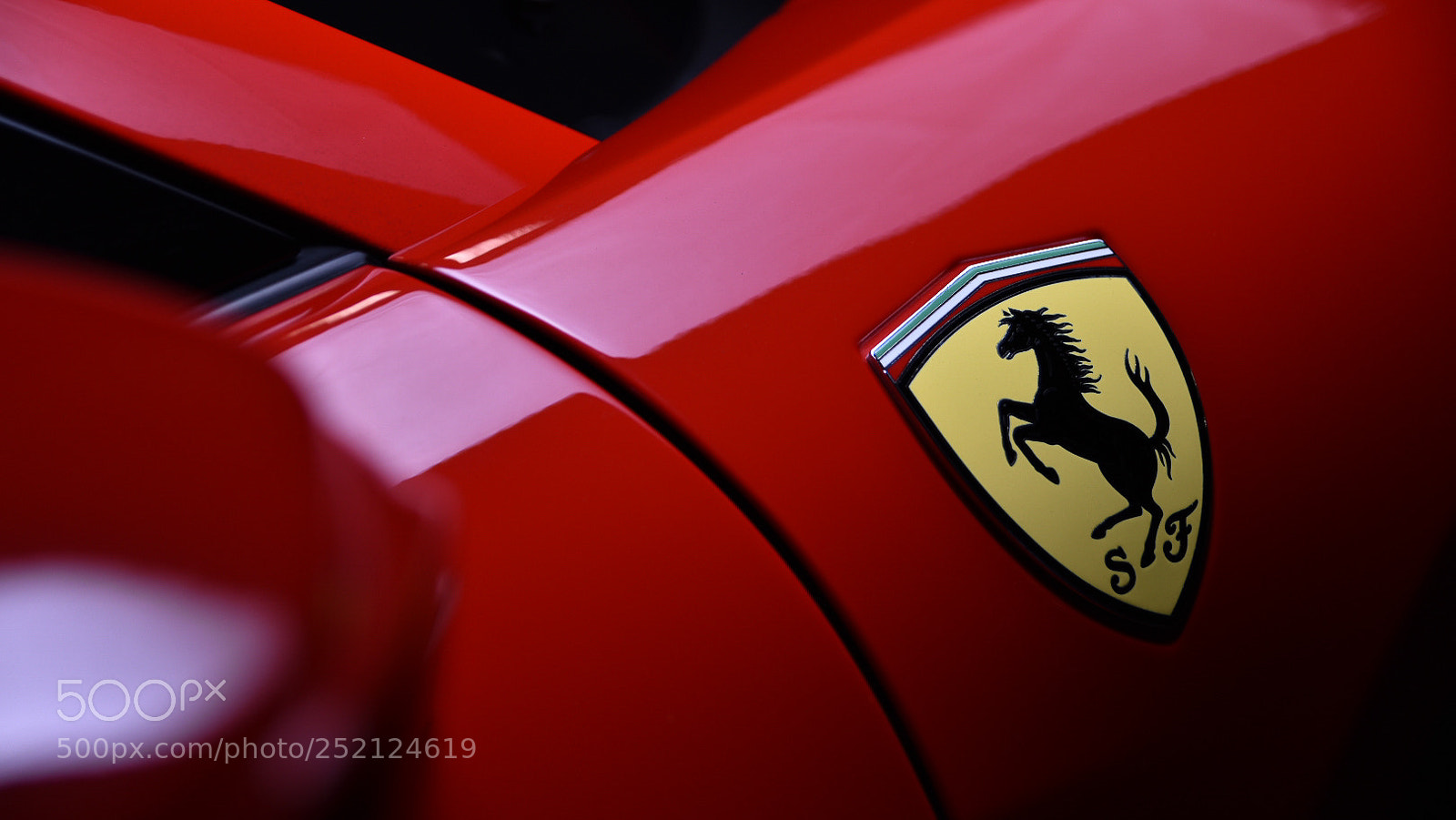 Nikon D5500 sample photo. The prancing horse photography