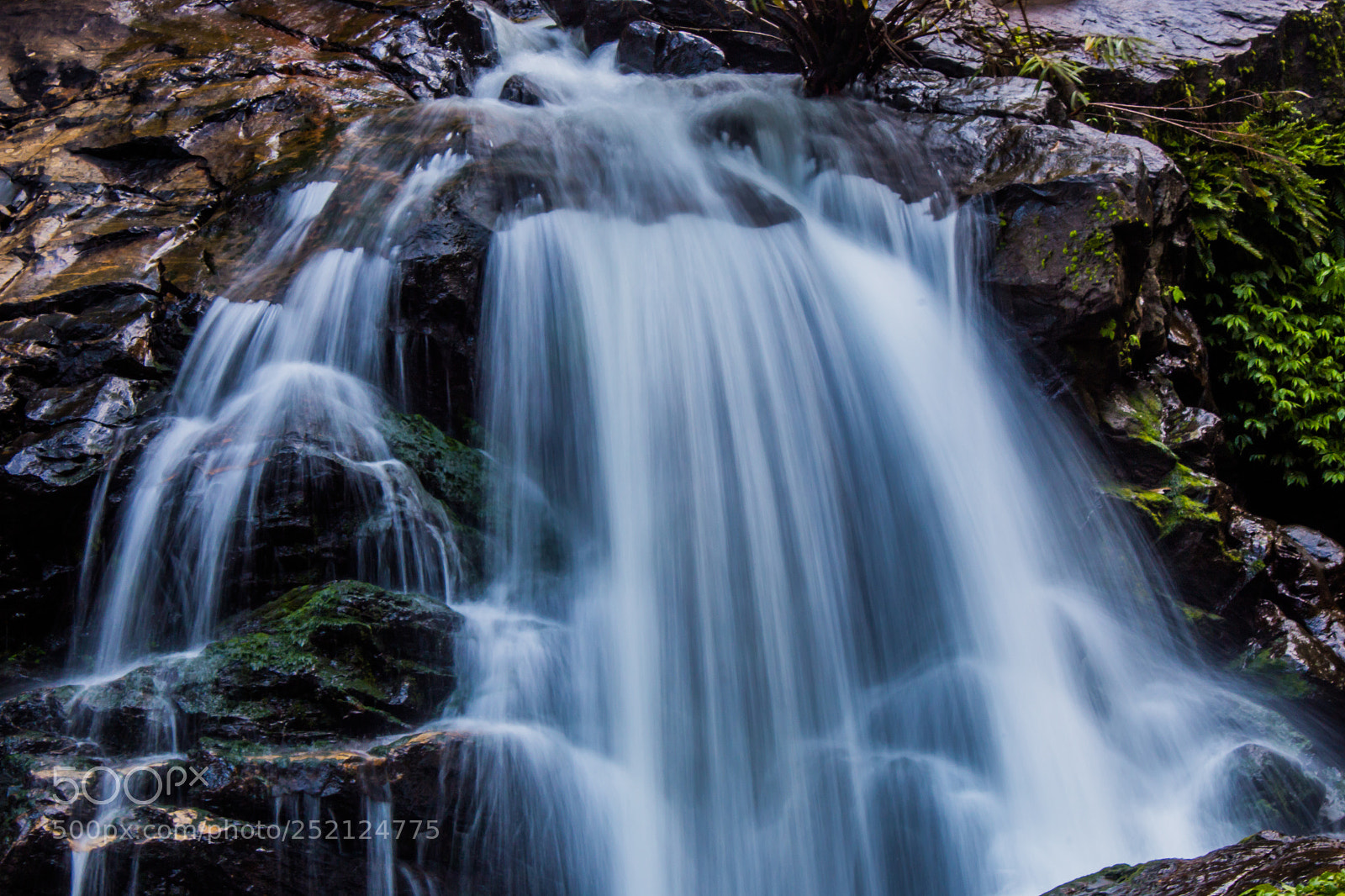 Canon EOS 70D sample photo. Fall like a waterfall photography