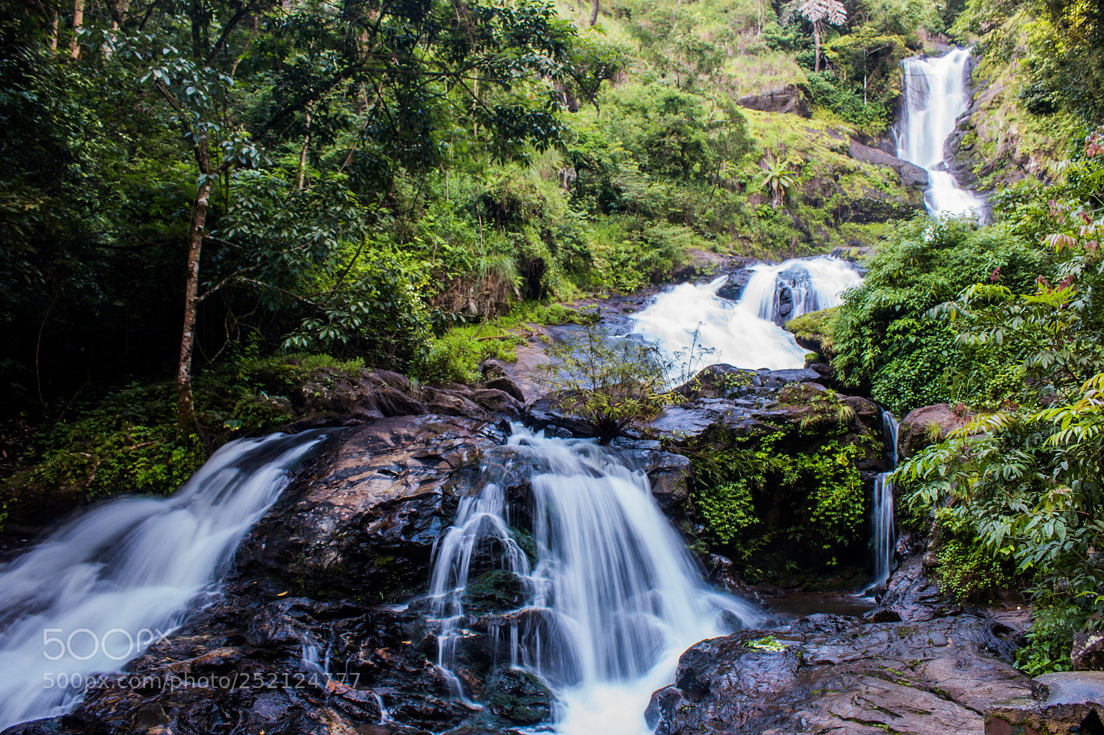 Canon EOS 70D sample photo. Fall like a waterfall photography