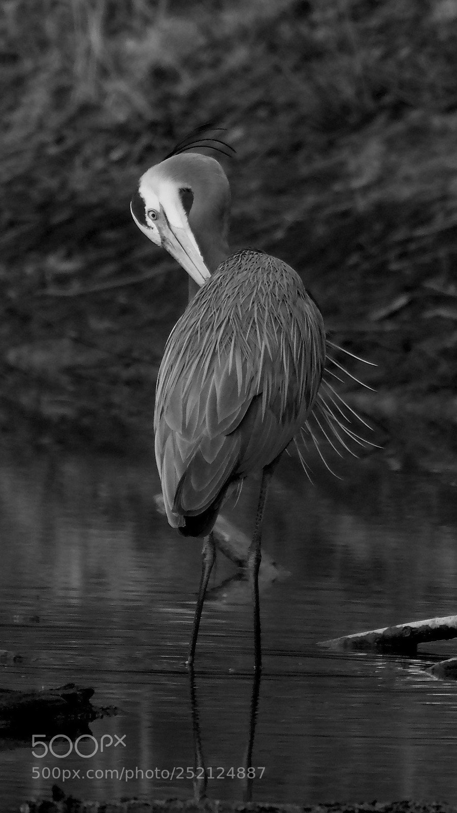 Nikon D500 sample photo. Like like this too. photography