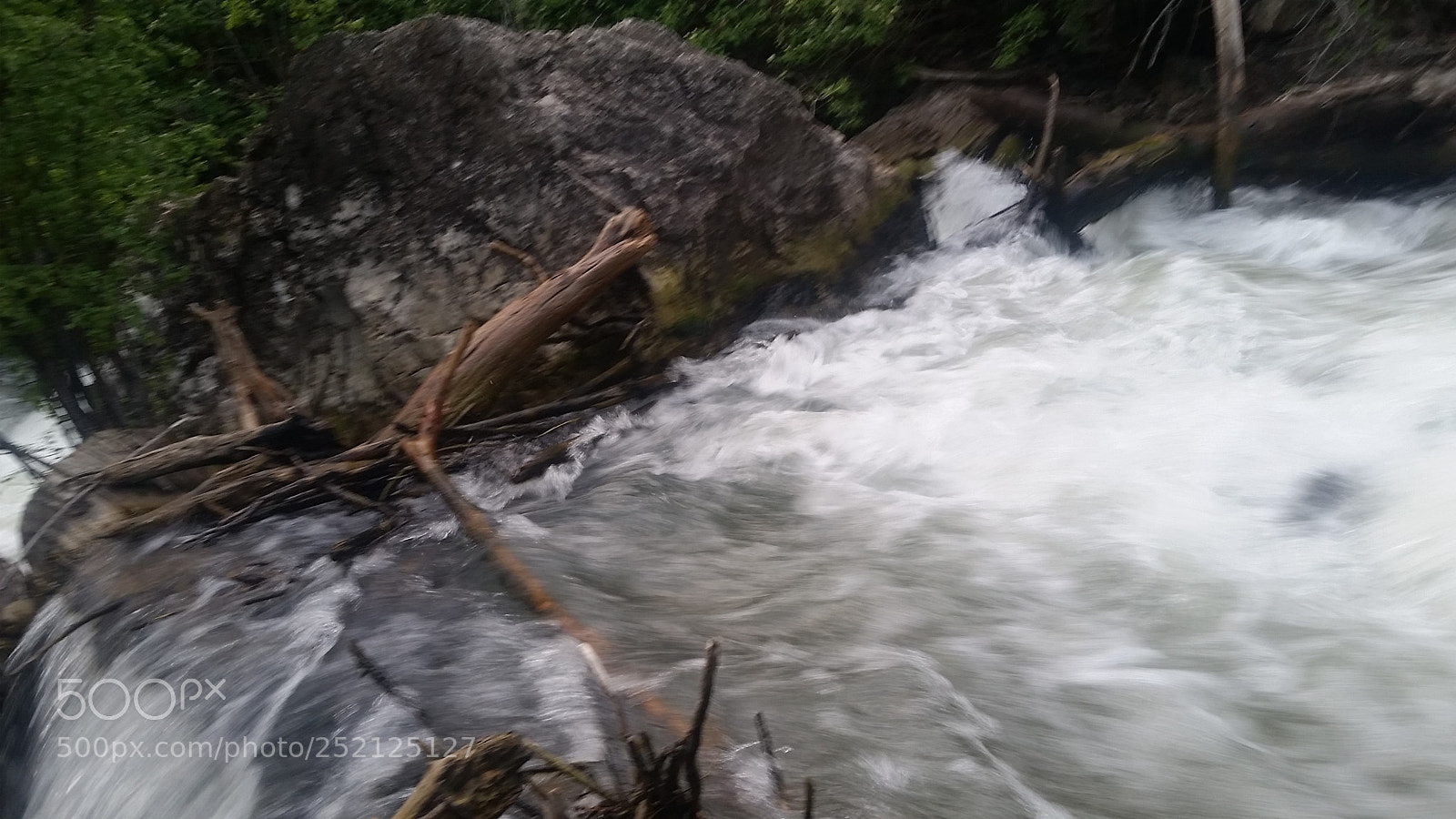 Samsung Galaxy S5 sample photo. Stuck driftwood photography