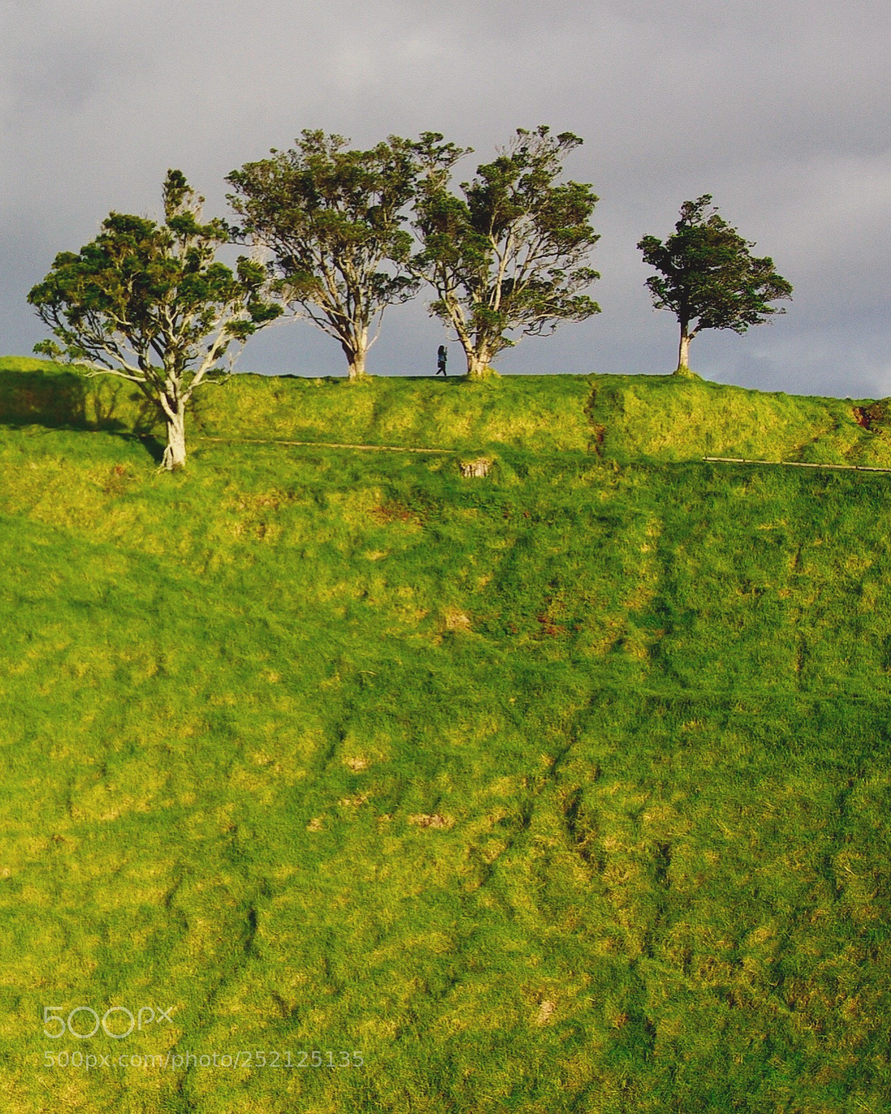 Pentax K10D sample photo. Jill on the hill photography