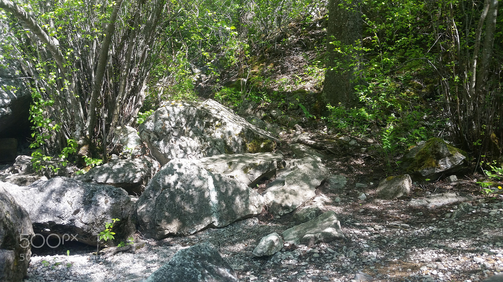 Samsung Galaxy S5 sample photo. Small alcove next to photography