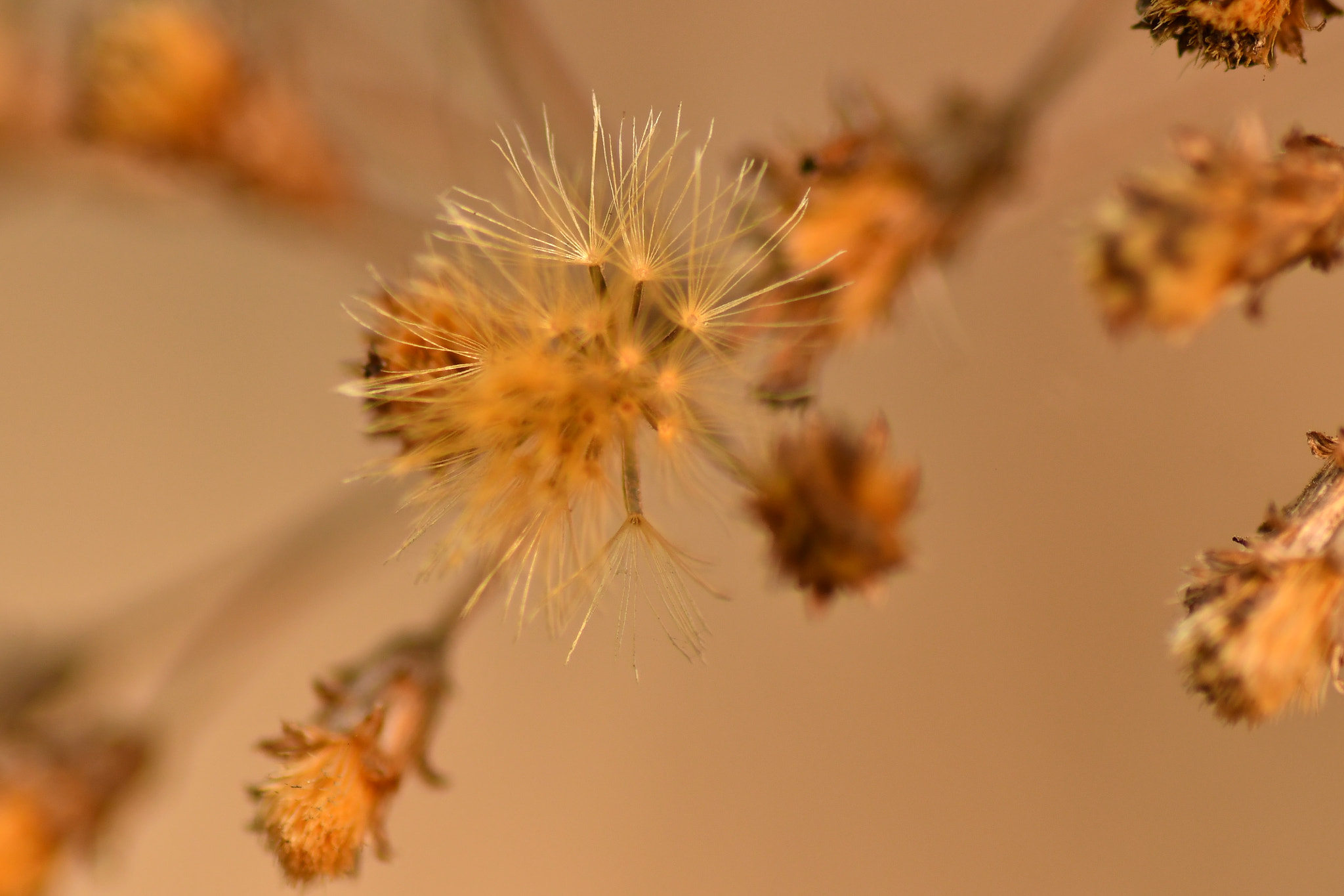 Nikon D7500 sample photo