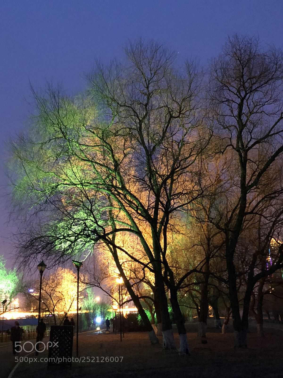 Apple iPhone X sample photo. The night of light photography