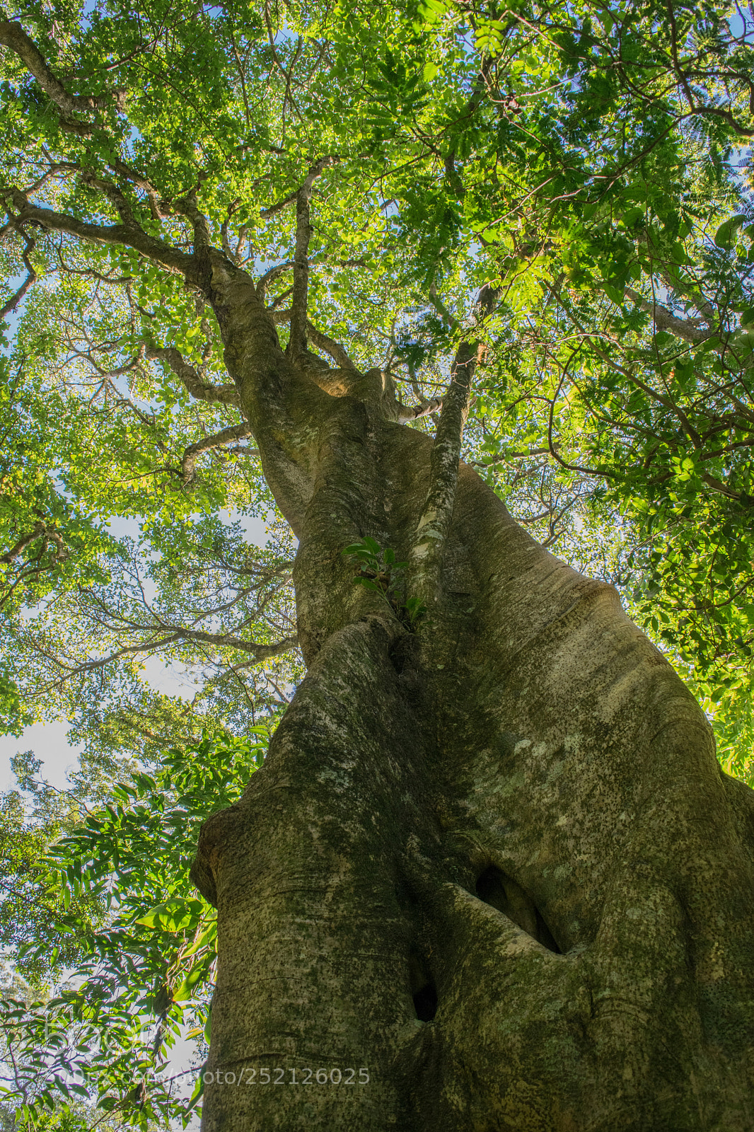 Nikon D3300 sample photo. Hasta el cielo photography