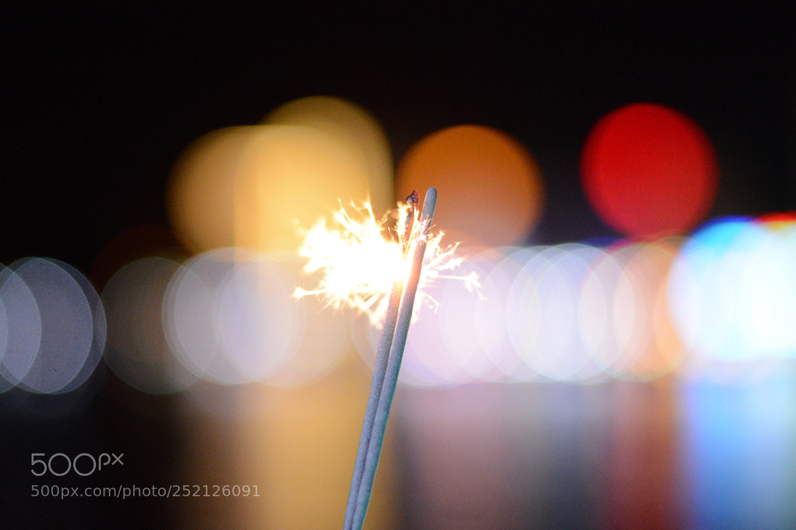 Nikon D7100 sample photo. Untitled photography