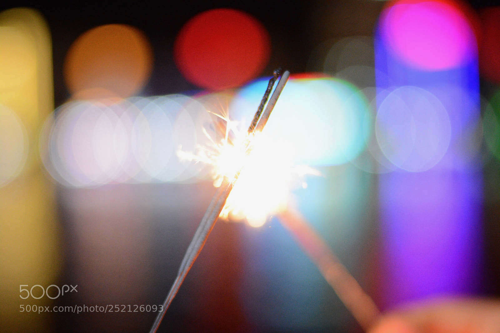 Nikon D7100 sample photo. Untitled photography