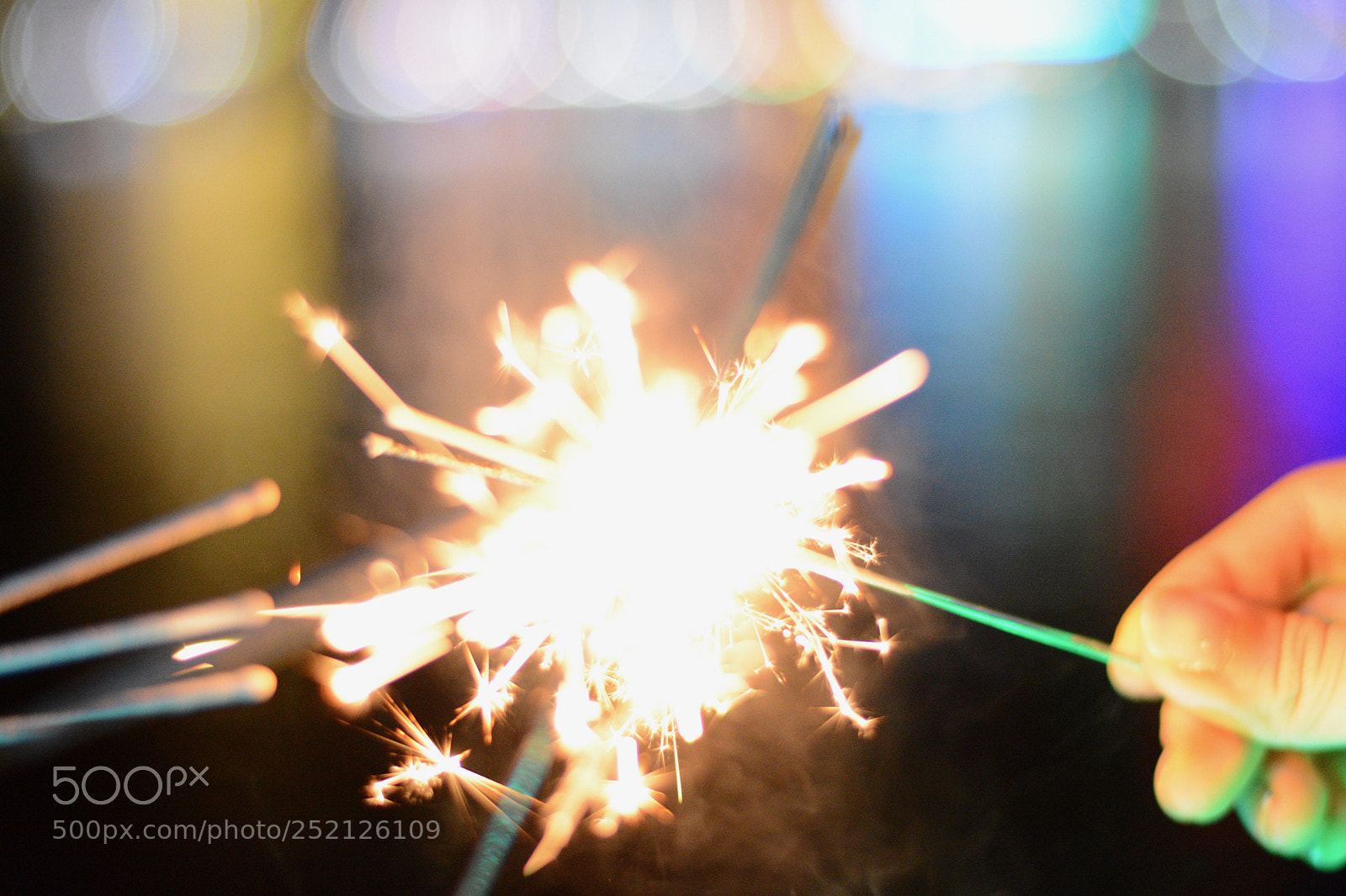 Nikon D7100 sample photo. Untitled photography