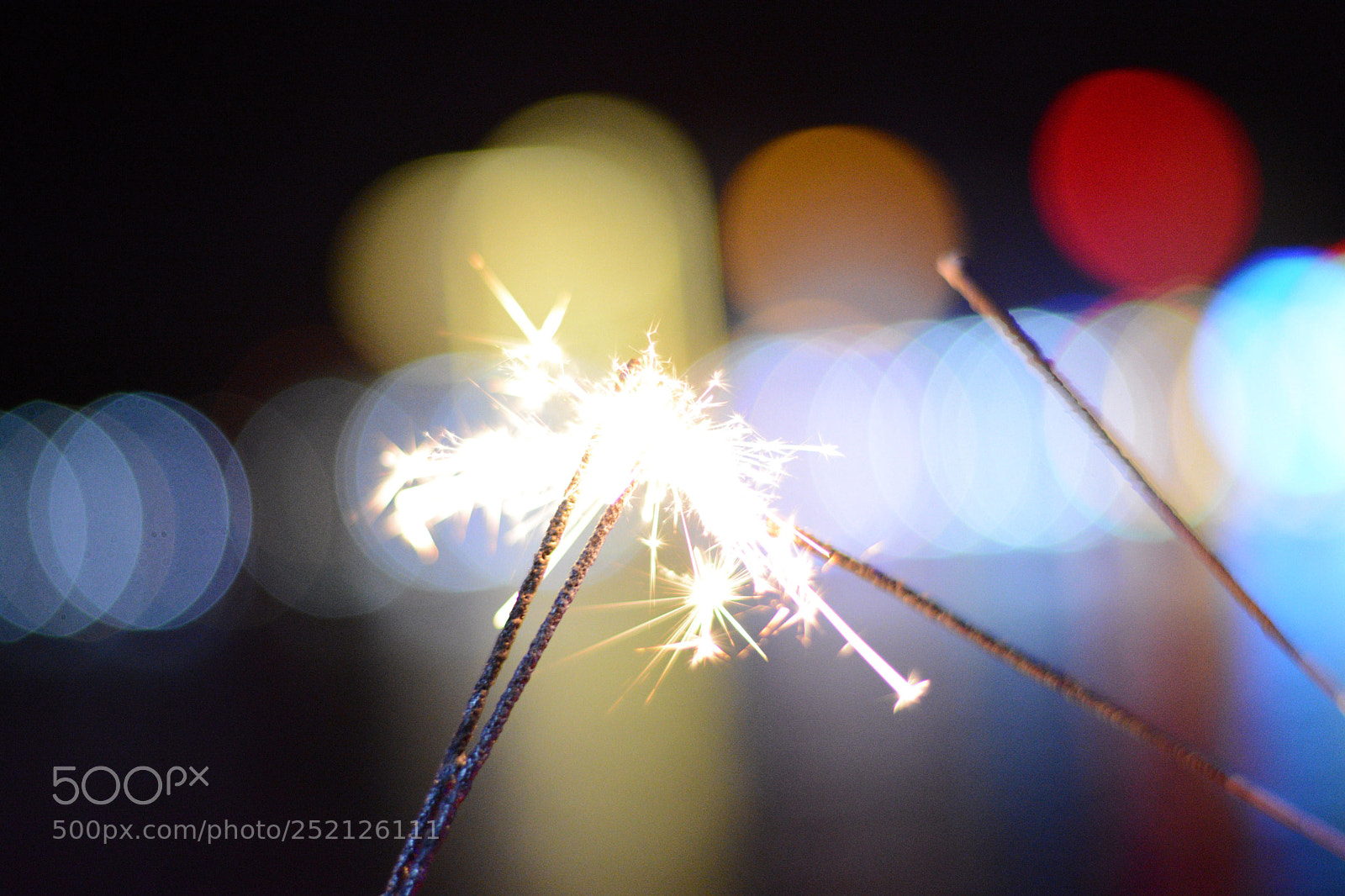 Nikon D7100 sample photo. Untitled photography