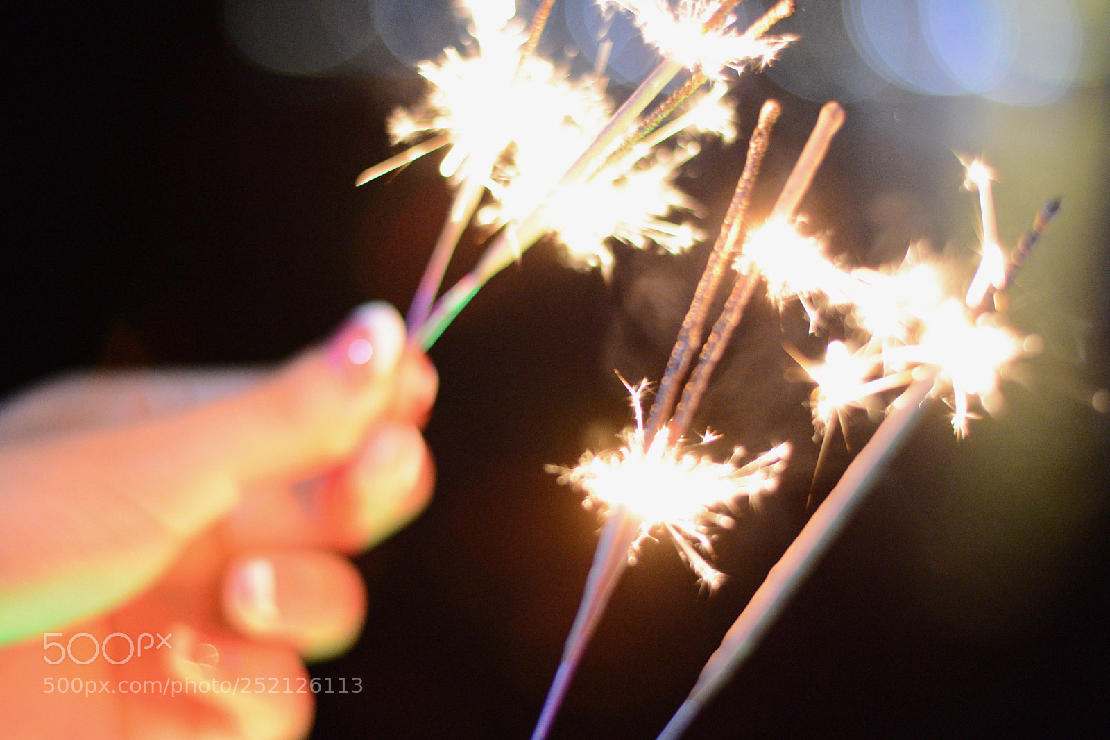 Nikon D7100 sample photo. Untitled photography