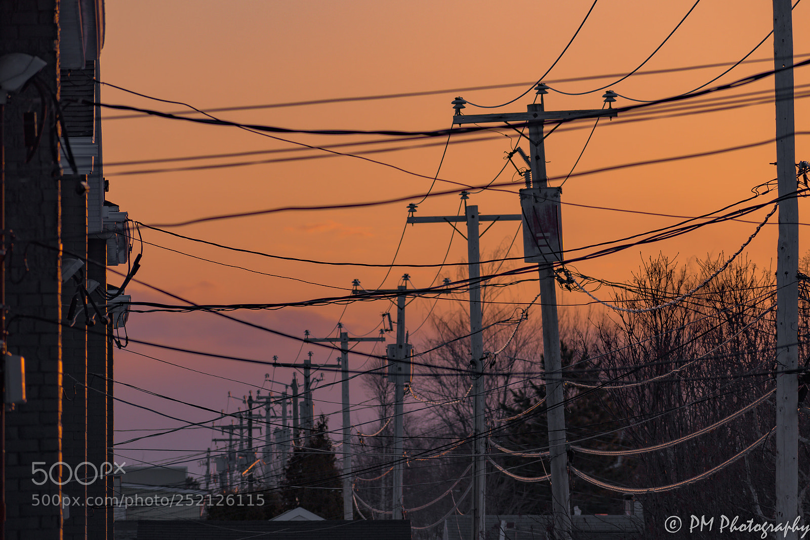 Nikon D500 sample photo. Powerline photography