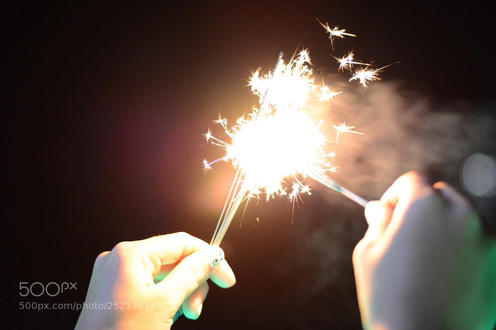 Nikon D7100 sample photo. Untitled photography