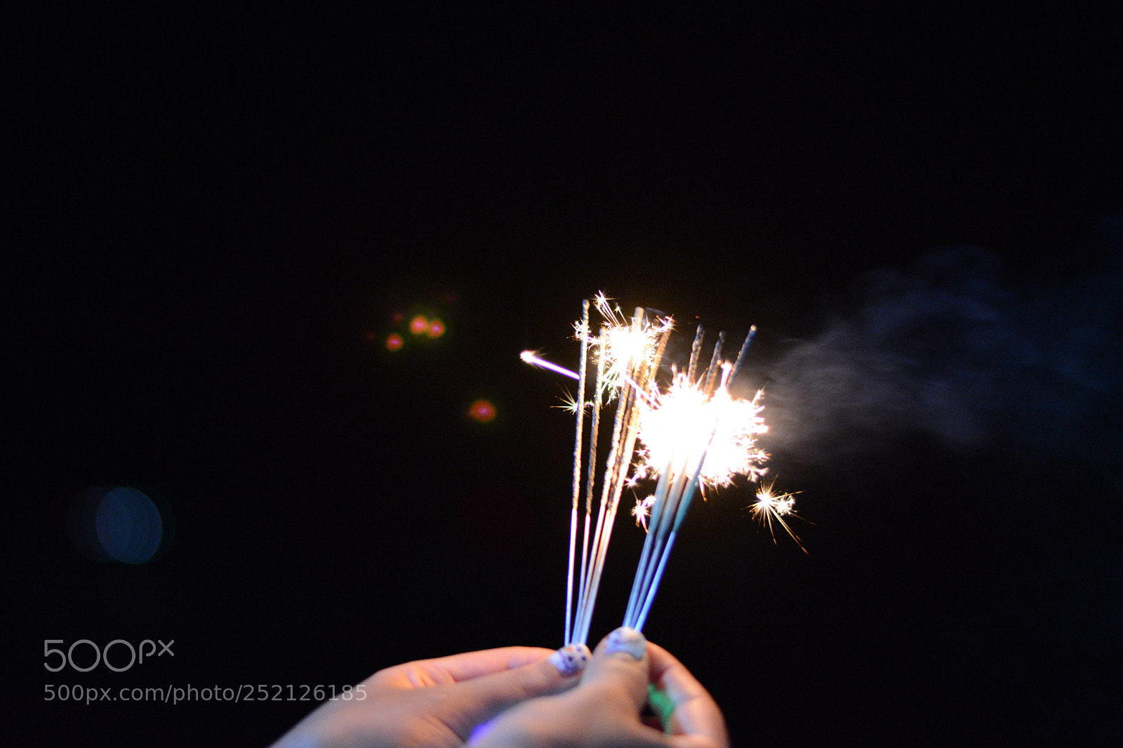Nikon D7100 sample photo. Untitled photography