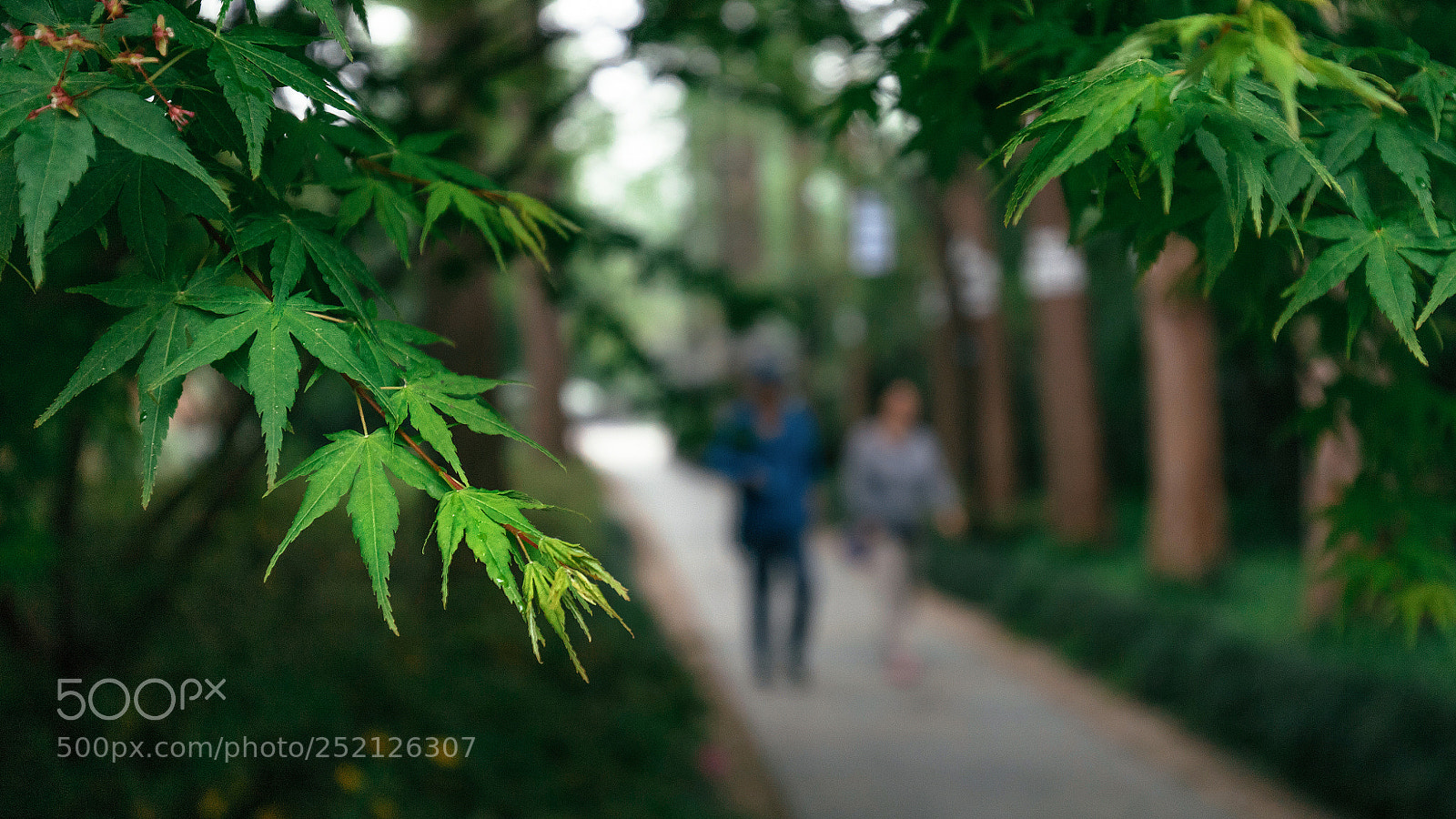 Canon EOS 6D Mark II sample photo. 隐约雷鸣 阴霾天空 photography