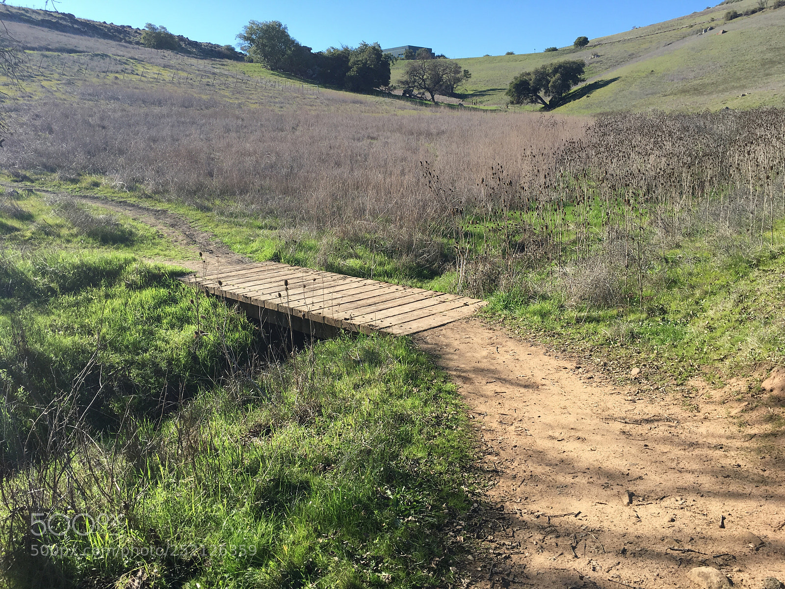 Apple iPhone 6s Plus sample photo. Stiles ranch trail photography
