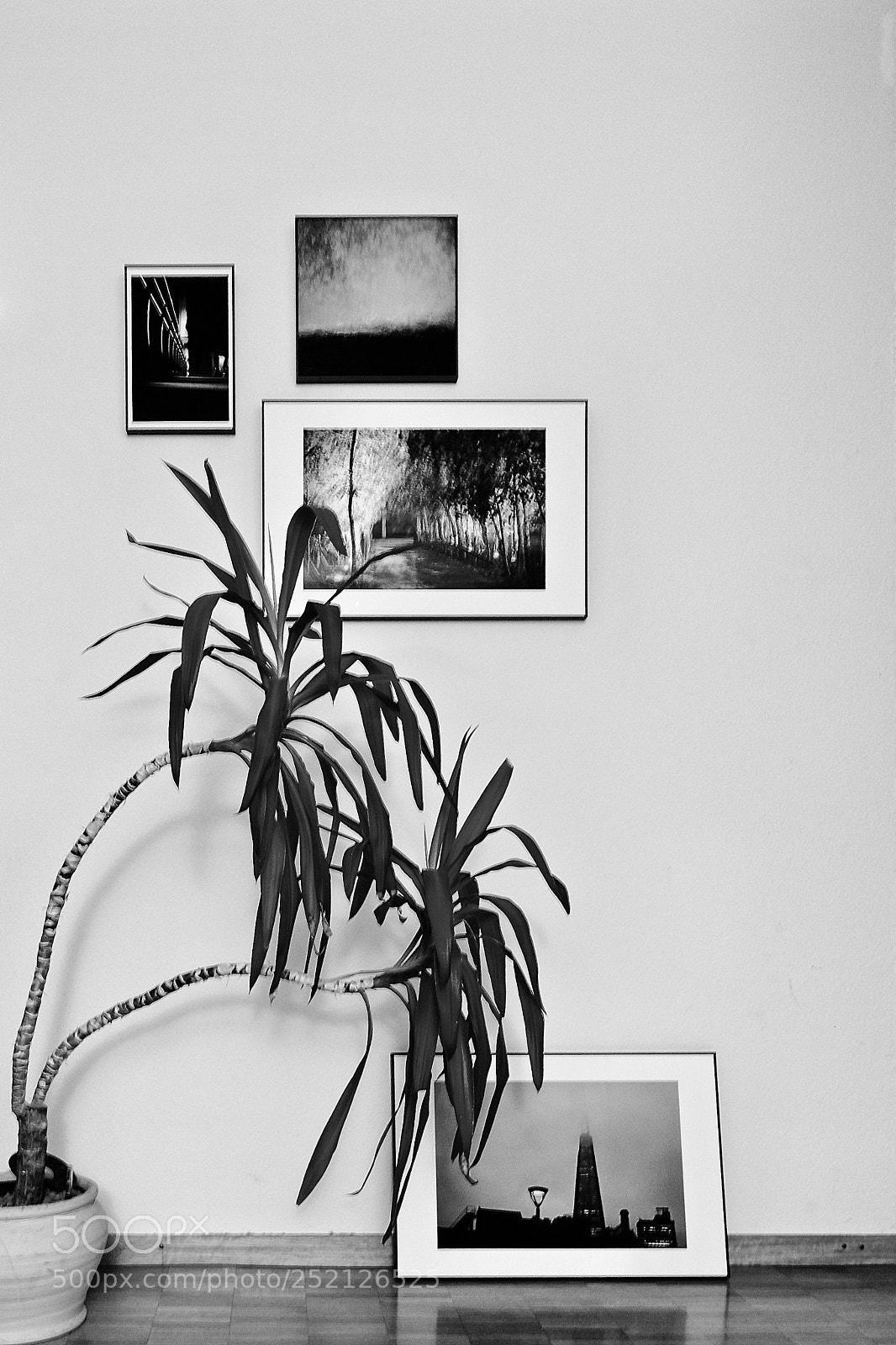 Fujifilm X-T10 sample photo. Home photography